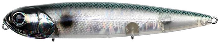 RoverG54RAbaloneShad_700x700
