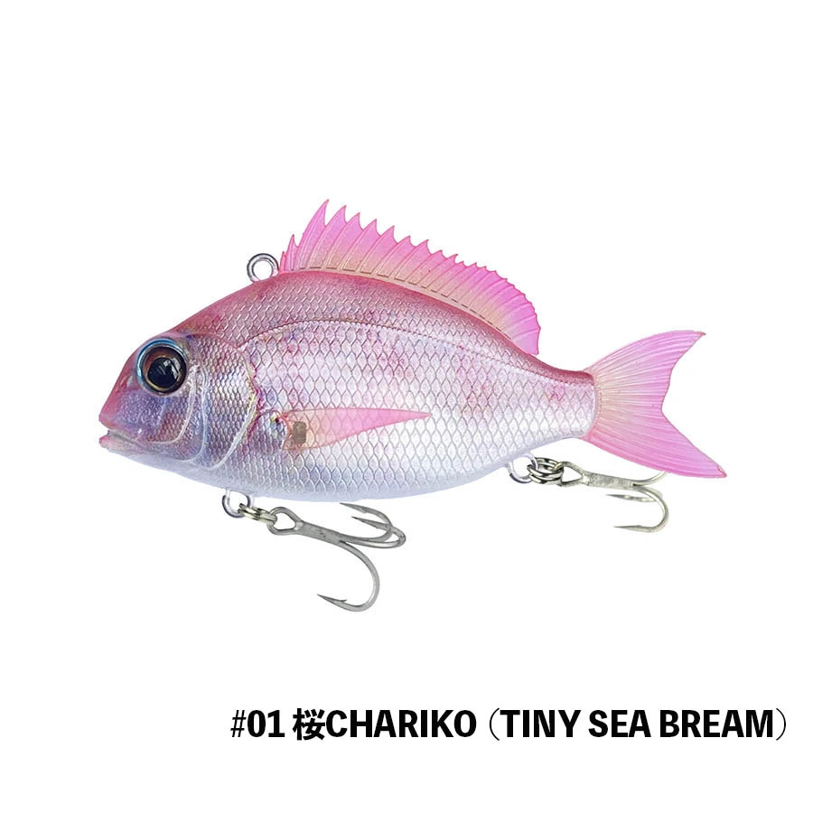 TINY SEA BEAN